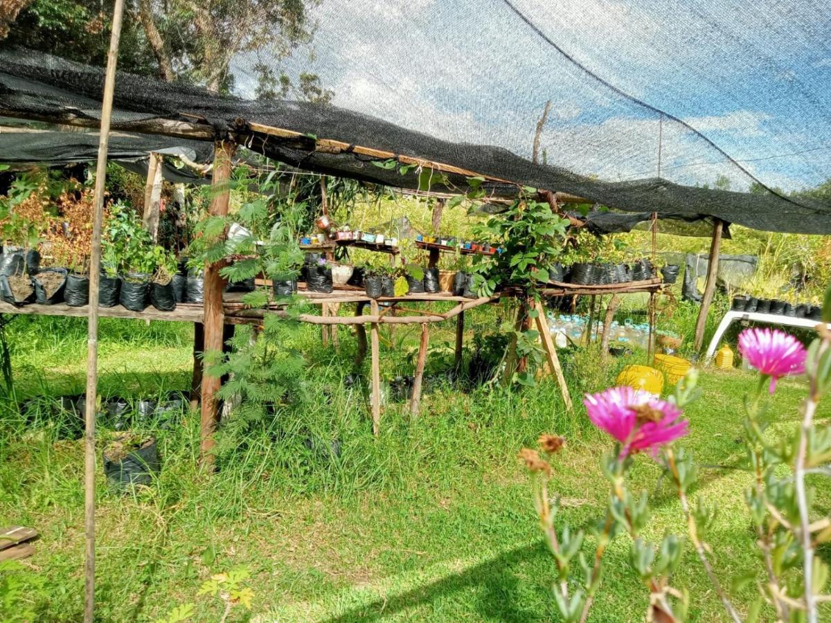 Gasthaus Hospedaje Y Zona De Camping Pistacho Villa de Leyva Exterior foto